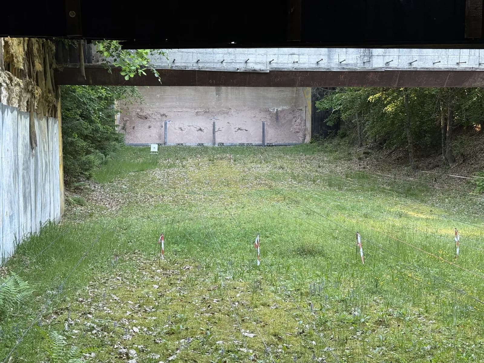 Couloir extérieur du 50 m vu depuis le pas de tir, pare-balles en béton au fond et piquets des rameneurs dans l'herbe